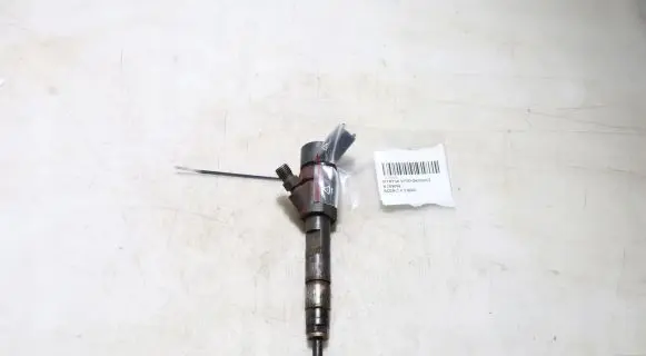 Renault Scenic II - Grand scenic II Fuel injector 0445110110B