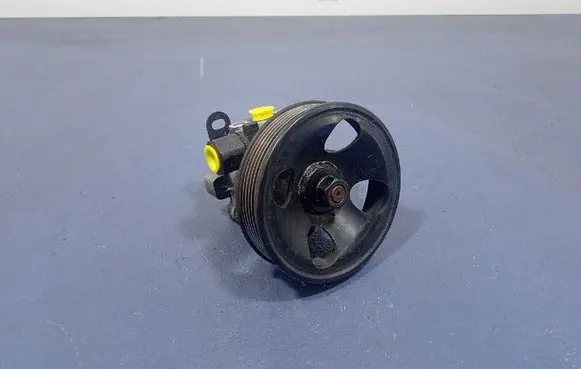 KIA Carens II Power steering pump 
