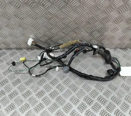 Front door wiring loom
