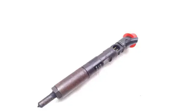 Renault Kangoo I Fuel injector 166001137R 8200421897