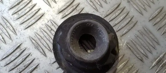 Coil spring mount