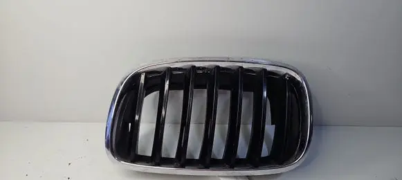 BMW X6 E71 Front bumper upper radiator grill 7171395