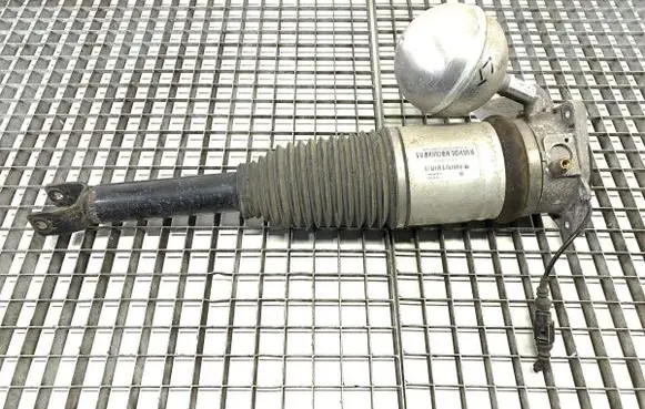 Volkswagen Phaeton Rear shock absorber/damper 3D0616001N