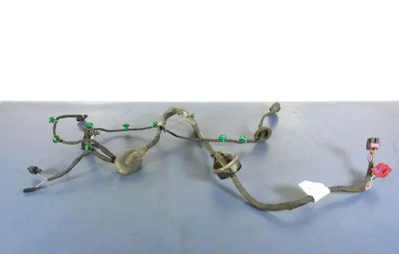 Volkswagen Phaeton Other wiring loom 3D1971120
