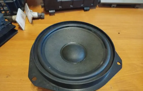 Opel Signum Front door speaker 24423552