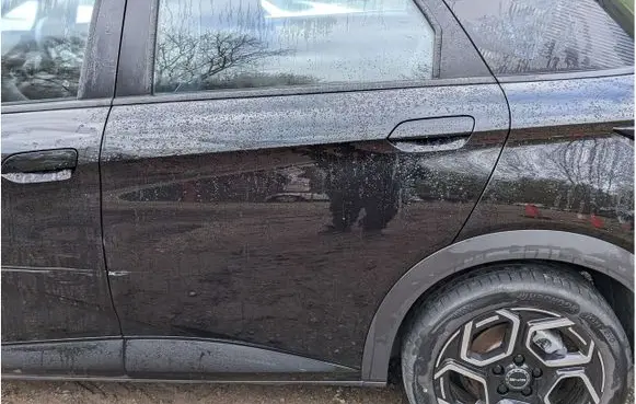 BYD Dolphin Rear door