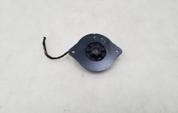 Panel speaker