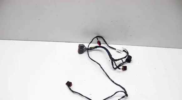 Other wiring loom