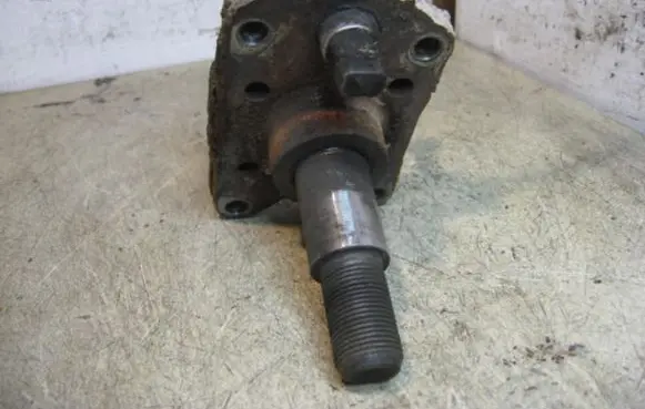 Renault Scenic I Stub axle BUGNINIAI