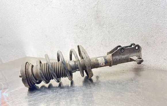 Opel Insignia A Front shock absorber with coil spring 2030220