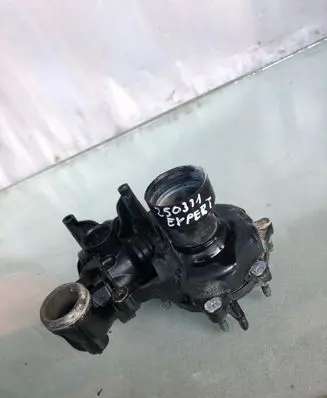 Thermostat/thermostat housing