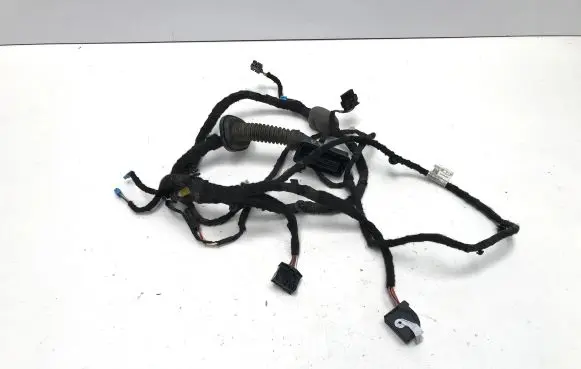 BMW 3 G20 G21 Front door wiring loom 5A20663