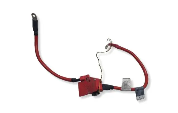 BMW 6 F06 Gran coupe Positive cable (battery) 10304410 9259425