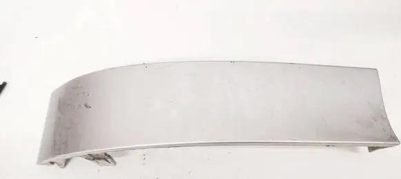 Rear/tail light trim molding