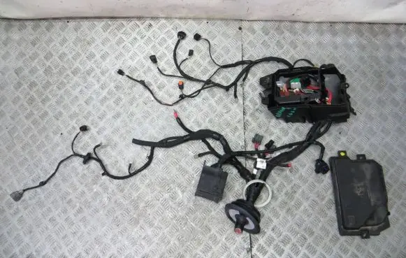 Renault Arkana Positive wiring loom 240108426R