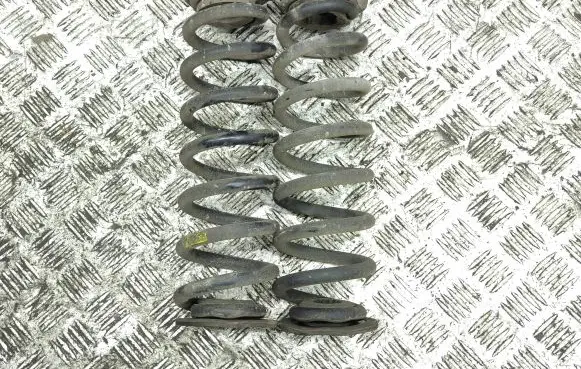 Opel Insignia B Rear coil spring