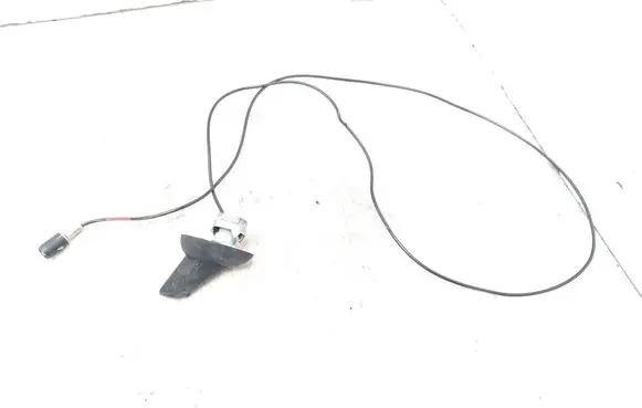 Renault Espace - Grand espace IV Radio antenna 