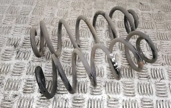 Rear coil spring