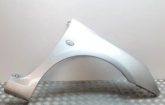 Peugeot 307 Fender