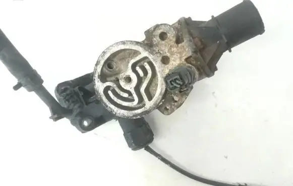 Citroen Berlingo Engine coolant pipe/hose 9624839210