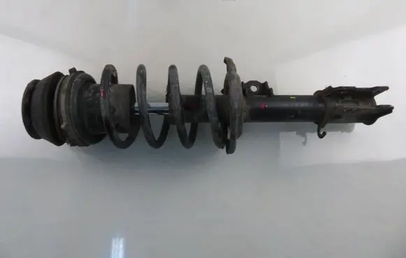Opel Meriva A Front shock absorber with coil spring DSB176G