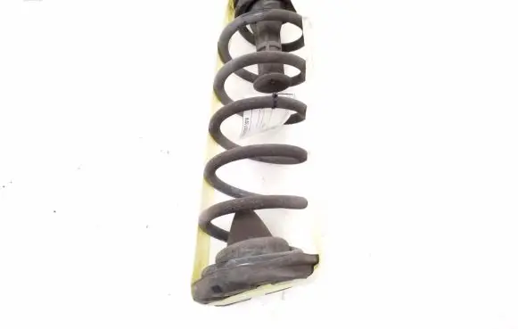 Nissan Qashqai Rear coil spring
