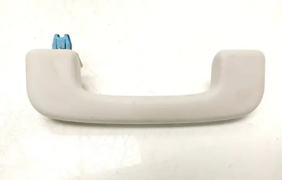 Ford Mustang Mach-E Front interior roof grab handle LC5BA045B14EBW