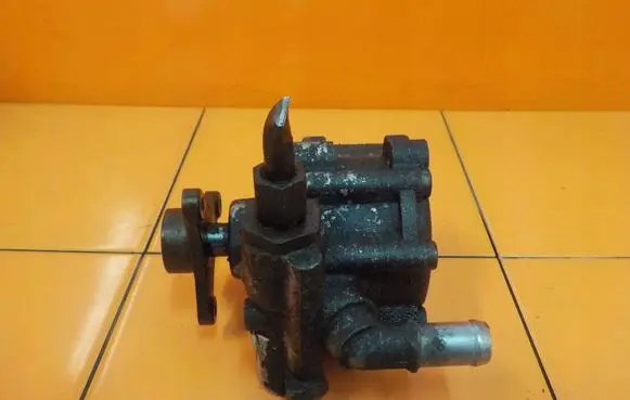 Renault Trafic II (X83) Power steering pump 491101050R