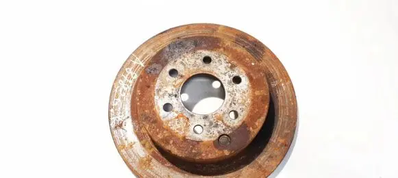 Nissan Pathfinder R51 Rear brake disc ventiliuojamas