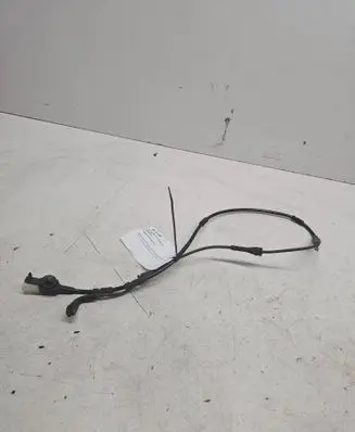 Other wiring loom
