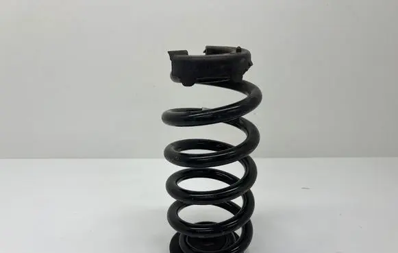Rear coil spring