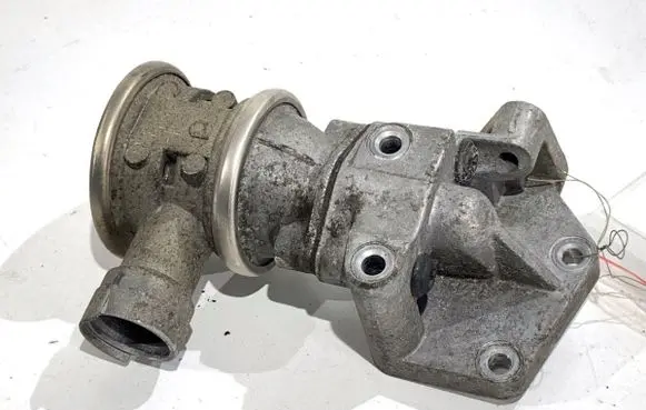 Seat Leon (1P) EGR valve 06A131351F