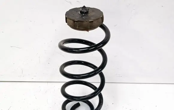 Rear coil spring