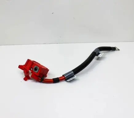 BMW X5 E70 Battery relay fuse 9217004