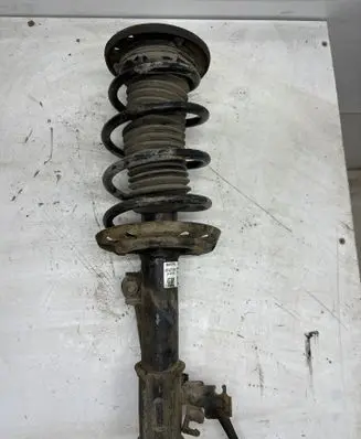 Opel Signum Front shock absorber with coil spring 8249035540 13118706 461022360