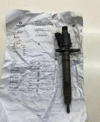 Land Rover Range Rover Sport L320 Fuel injector 0445116013