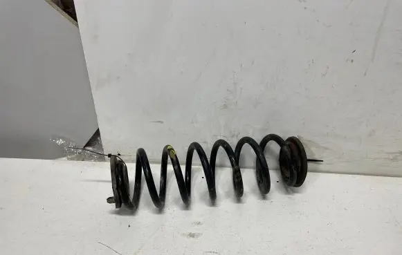Volkswagen PASSAT B6 Rear coil spring