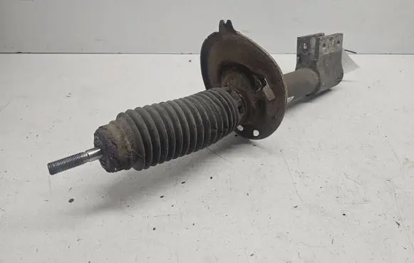Citroen C4 I Picasso Front shock absorber/damper