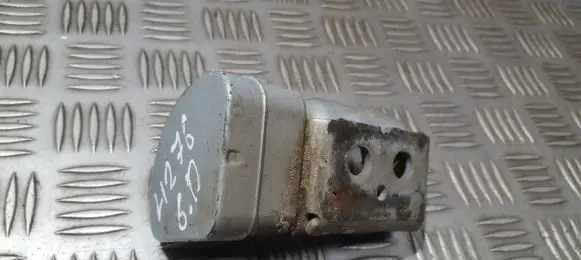 Renault Scenic II - Grand scenic II Rear door lower hinge