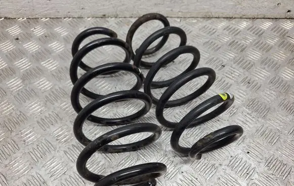 Rear coil spring