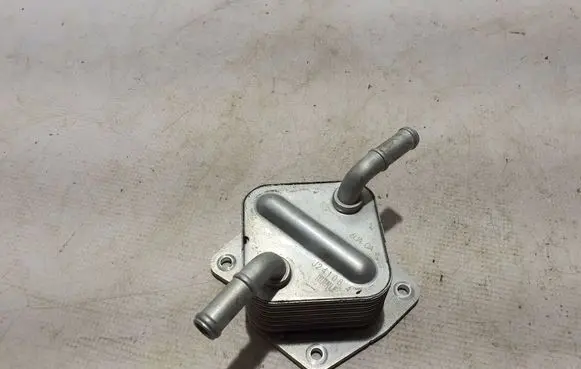 Nissan Qashqai J12 Oil filter mounting bracket 213056UA0A