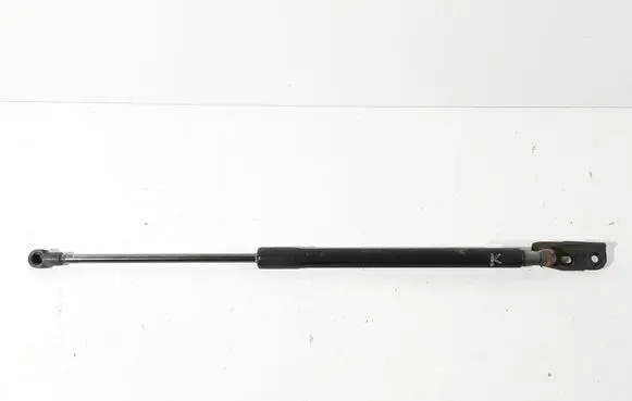 Tailgate/trunk strut/damper