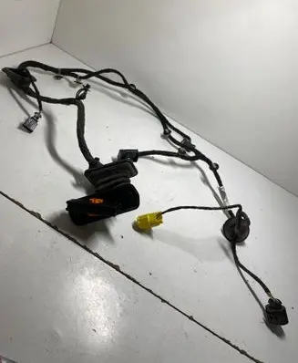 Volkswagen PASSAT B6 Front door wiring loom 3C1971121BF