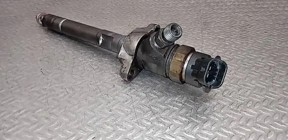 Citroen C3 Picasso Fuel injector 0445110297