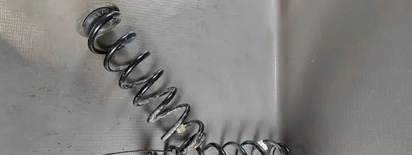 Rear coil spring