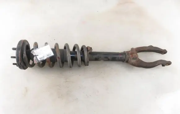Honda Accord Front shock absorber with coil spring 