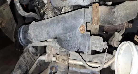 Skoda Octavia Mk2 (1Z) Engine coolant pipe/hose 038121132D