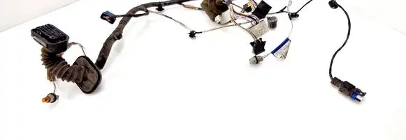 Renault Laguna II Front door wiring loom 8200379041