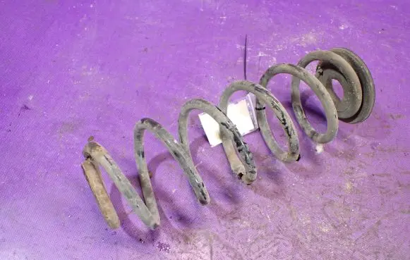 Seat Leon (1P) Rear coil spring