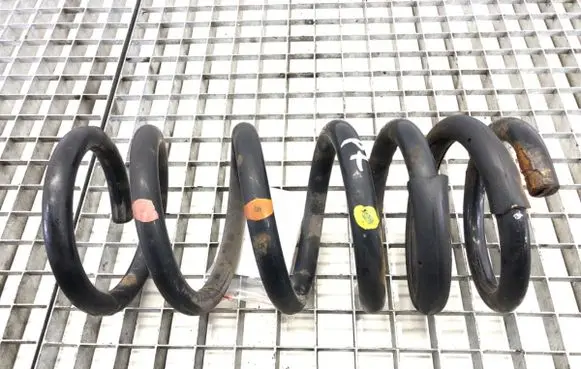 Rear coil spring
